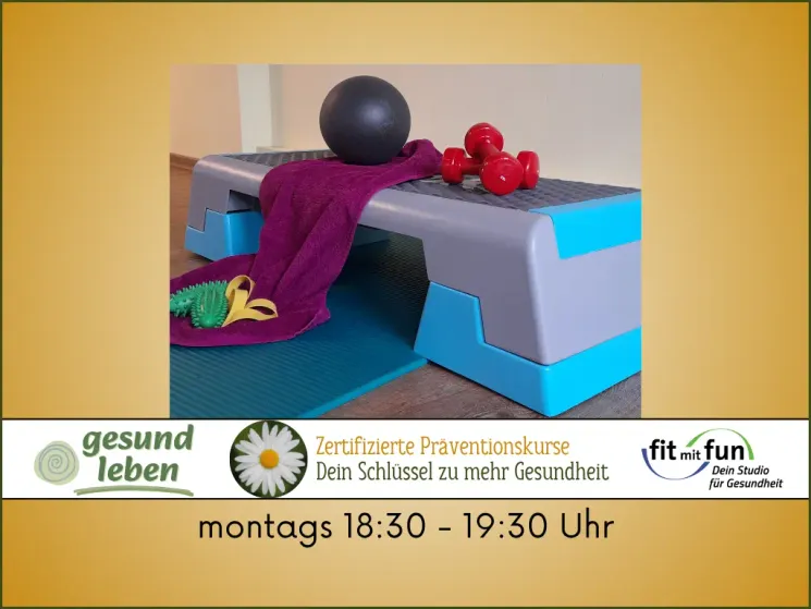 Fitness Zirkel "Ganzkörper-Workout" PRÄVENTION @ fit mit fun - Dein Studio für Gesundheit