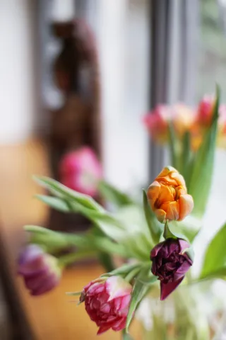 Dieser Anbieter hat keine Bildbeschreibung für dieses Bild hinterlegt