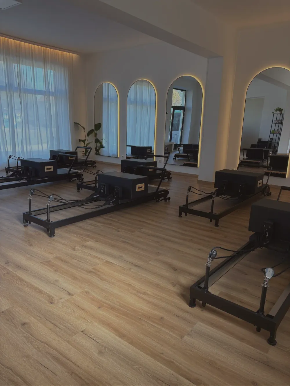 feleo Reformer