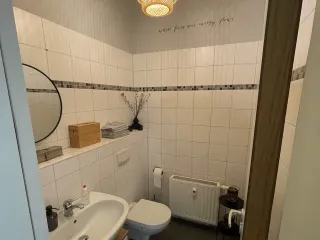 Dieser Anbieter hat keine Bildbeschreibung für dieses Bild hinterlegt