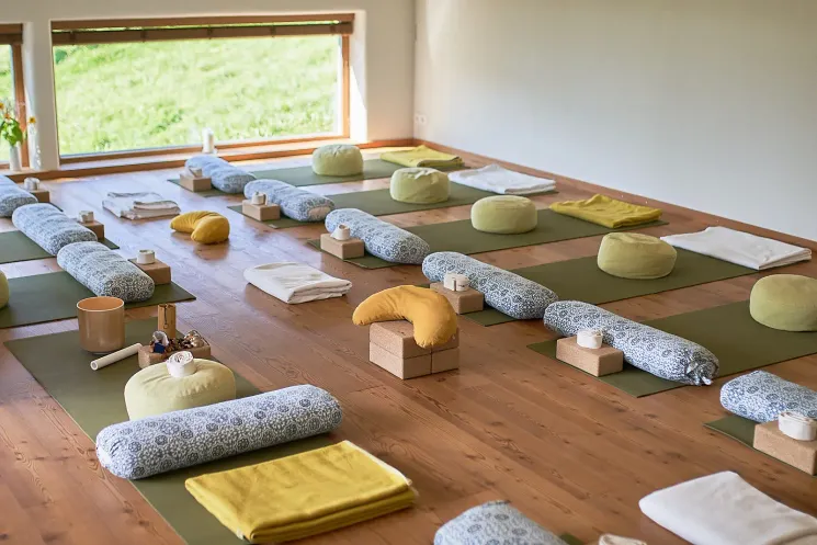 The ART & Business of Teaching YOGA 50HR MENTORSHIP Course @ Annemarie | VENUSfrequency  -  Annemarie Lombard Puntschart