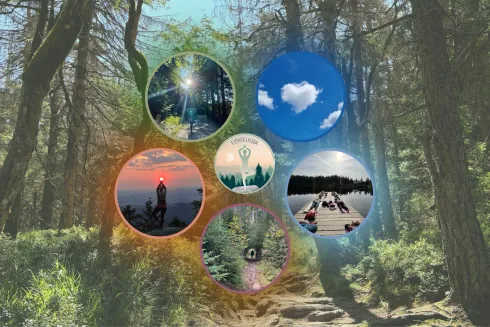 Die 5-Elemente-Tour im Fichtelgebirge @ Fichtelyoga