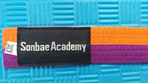 Promo #69 - 11ème keup - mauve bar. orange @ Sonbae Taekwondo Academy