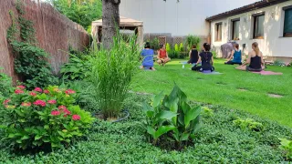 Dieser Anbieter hat keine Bildbeschreibung für dieses Bild hinterlegt