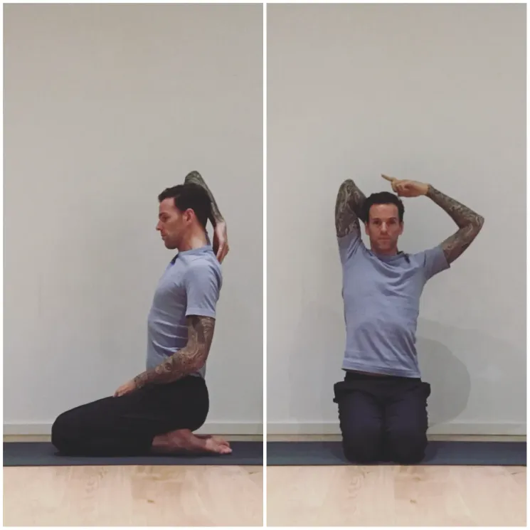 Yoga & Anatomie Training @ Bhaskaraya Yoga