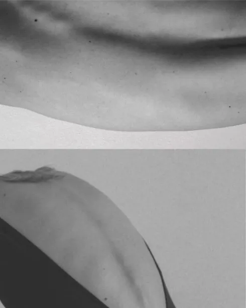 ANATOMY MASTERCLASS: Spine w/ Tina @ STUDIO MOND