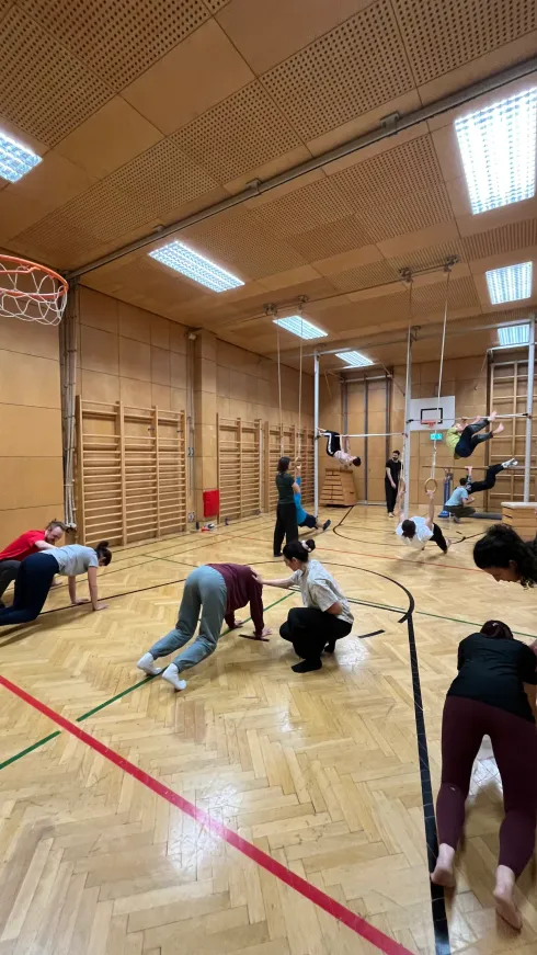 Movement Practice Vienna