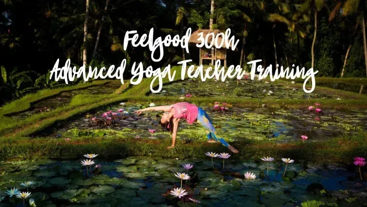 Feelgood Advanced Yoga Teacher Training 300 Stunden (Anzahlung alle Module) @ Feelgoodstudio 1070 " Therapy / Chikitsa "