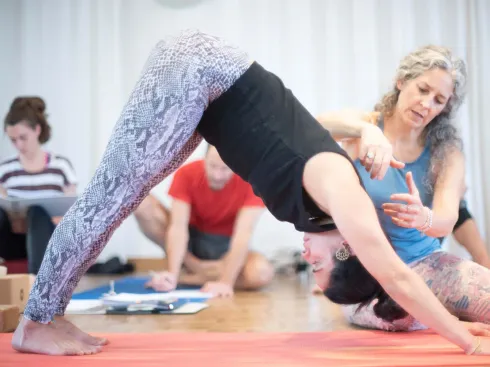 Infoveranstaltung zur YOGALEHRER-AUSBILDUNG 200h+ @ Studio Yogaflow Münster