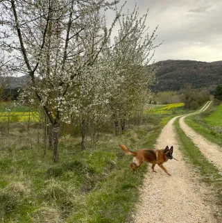 olatz