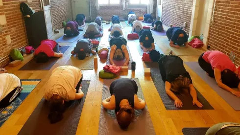 Matinée Yoga pratique complète @ YogaLite - centre et école de Yoga traditionnel - Marcq-en-Baroeul