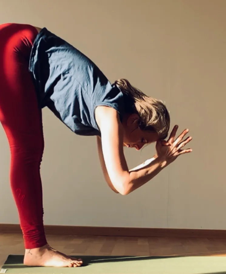 Somatic Yin Yoga @ Yogawerk Adliswil