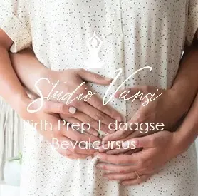 1 daagse Birth Prep zwangerschapscursus | DELFT @ Studio Vansi