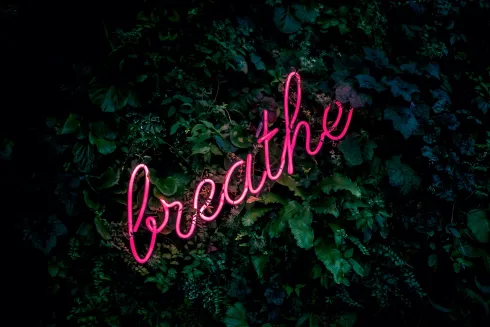 Breathwork + Meditation  @ Vibe Studio