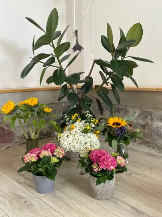 Dieser Anbieter hat keine Bildbeschreibung für dieses Bild hinterlegt