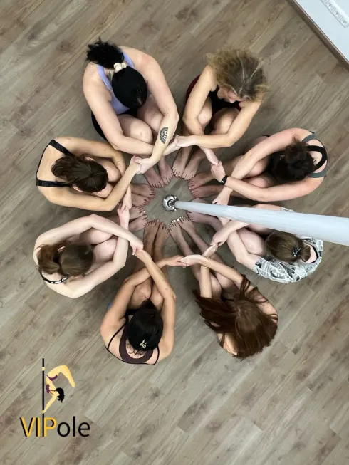 BEGINNER - Poledance Newbies @ VIPole - Poledance & Aerial Arts