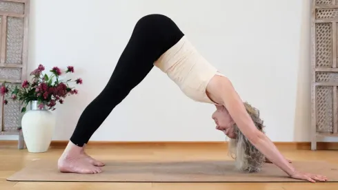 Le studio n'a pas fourni de description pour cette image