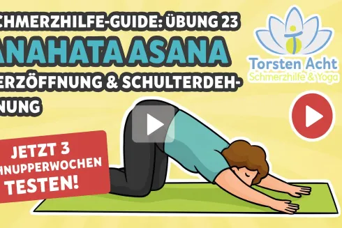 Le studio n'a pas fourni de description pour cette image