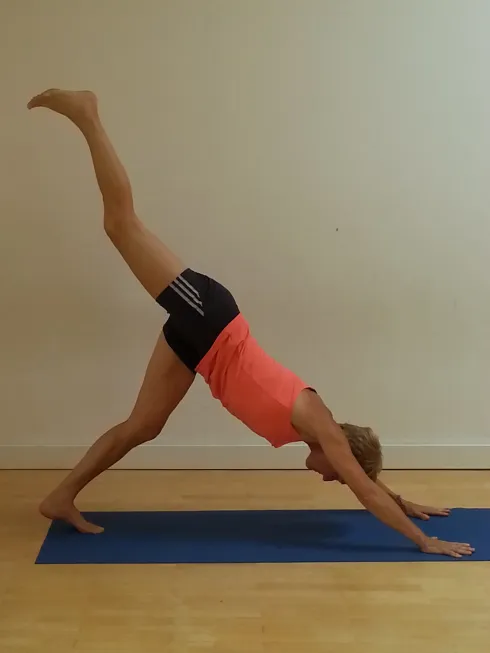 Rücken-Wohlfühl-Yoga - online @ Renate Rosenegger