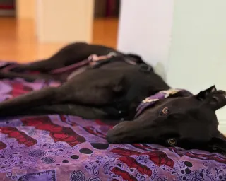 Dieser Anbieter hat keine Bildbeschreibung für dieses Bild hinterlegt