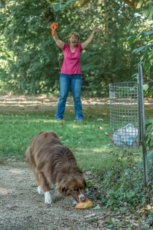 Anti-Giftköder-Training (Mini-Kurs) @ Martin Rütter Hundeschule Wiesbaden / Main-Taunus-Kreis