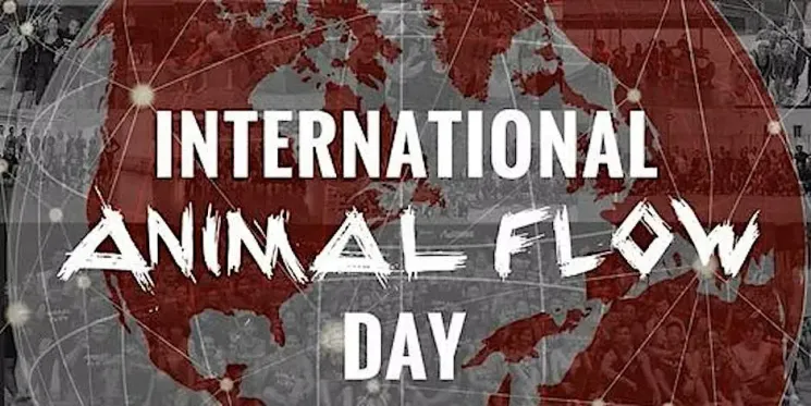 🦥 International Animal Flow Day 🦍 @ Karibu Flow