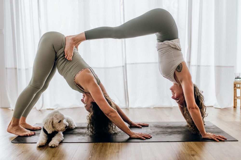 feel YOGA 49477 Ibbenbüren Eversports