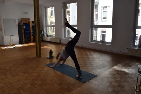 Neuro Yoga @ Shiva-Yoga/Marion Marquardt