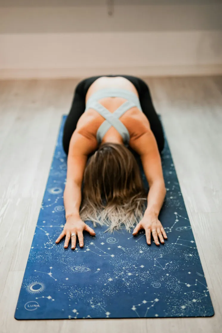 Yin Yoga im Sommer – 8 x 90 Minuten @ Yoga Vidya Bayreuth