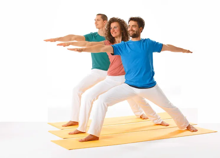 Yoga II - Mittelstufe - So 18 Uhr - 10x90 Min - Vor Ort und Online @ Yoga Vidya Bayreuth