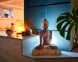 De locatie gaf geen beschrijving voor deze profielafbeelding