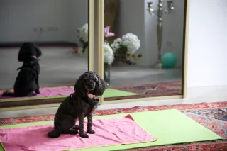 Dieser Anbieter hat keine Bildbeschreibung für dieses Bild hinterlegt