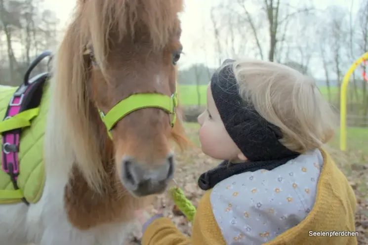 Longenzwerge 10 Uhr Winterkurs (2) @ Ponyschule Seelenpferdchen