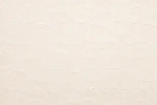 Ute
