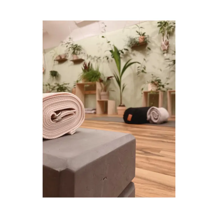 ✨ Pilates - ONLINE ✨ @ Dschungel Yoga