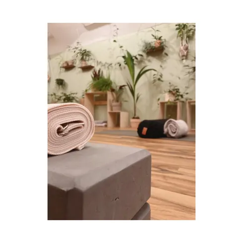 ✨ Pilates - ONLINE ✨ @ Dschungel Yoga