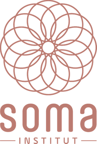 SOMA Institut