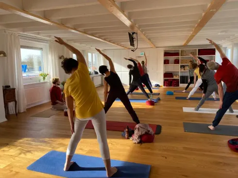 Präventionskurs für Yoga, ab 26. Mai, freitags, 17:00 - 18:30 Uhr @ Yoga Vidya Osnabrück