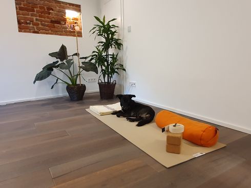 Yoga mit Fokus — yoga-studio i Köln — 2