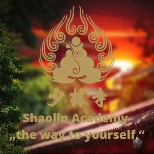Shaolin Kung Fu Erwachsen Online  @ Shaolin Tempel Marburg