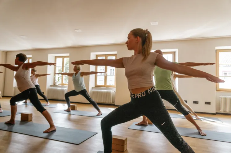 Hatha Yoga dynamisch L1-2 @ insaja - yoga & dance