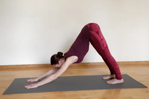 Healing Vinyasa Flow - VOR ORT @ Yoga Vidya Frankfurt