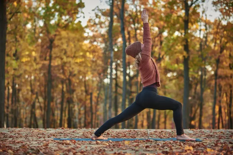 Flow & Yin XL @ SatyaLoka Yoga Ahrensburg