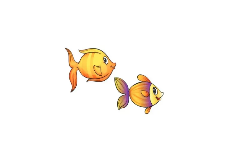 Minifische (7-12 Monate) 10:00 - 10:30 Uhr @ WADS GmbH / ZAR Mannheim