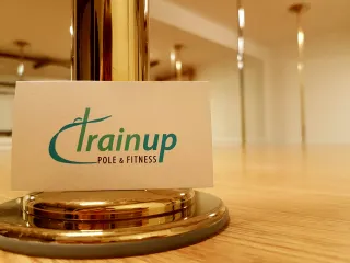Trainup pole & fitness