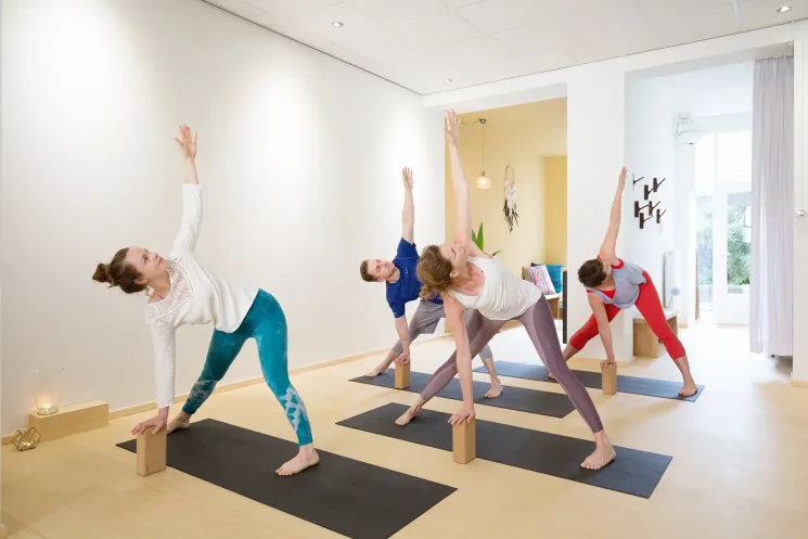 Sivananda Yoga @ De Yogaschool Utrecht