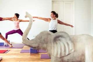 Dieser Anbieter hat keine Bildbeschreibung für dieses Bild hinterlegt