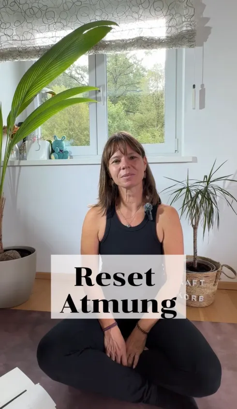 Le studio n'a pas fourni de description pour cette image