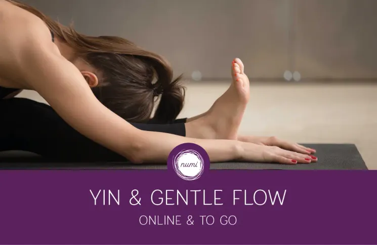 »Yin & Gentle Flow« | ONLINE @ numi | Yoga & Entspannung