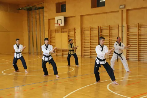 Zanshin Karate-Do; allgemeines Training  Erwachsene  @ Bewegungsforum Kampfkunstforum